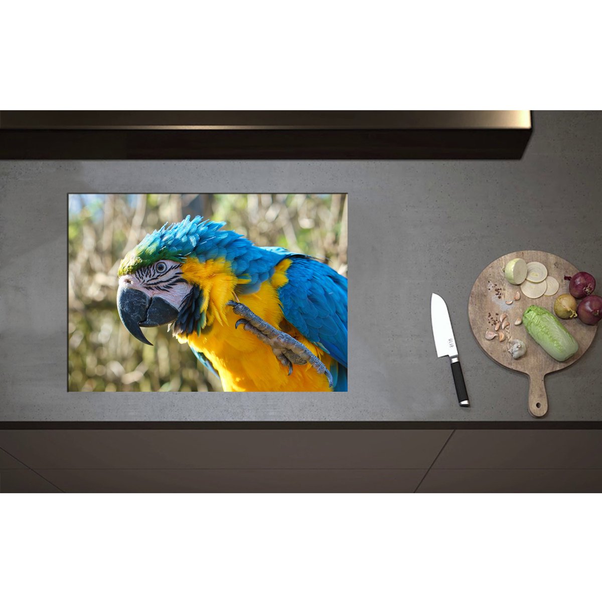 Inductieplaat Beschermer - Blauw met Gele Ara Papegaai Opzijkijkend - 70x50 cm - 2 mm Dik - Inductie Beschermer - Bescherming Inductiekookplaat - Kookplaat Beschermer van Wit Vinyl