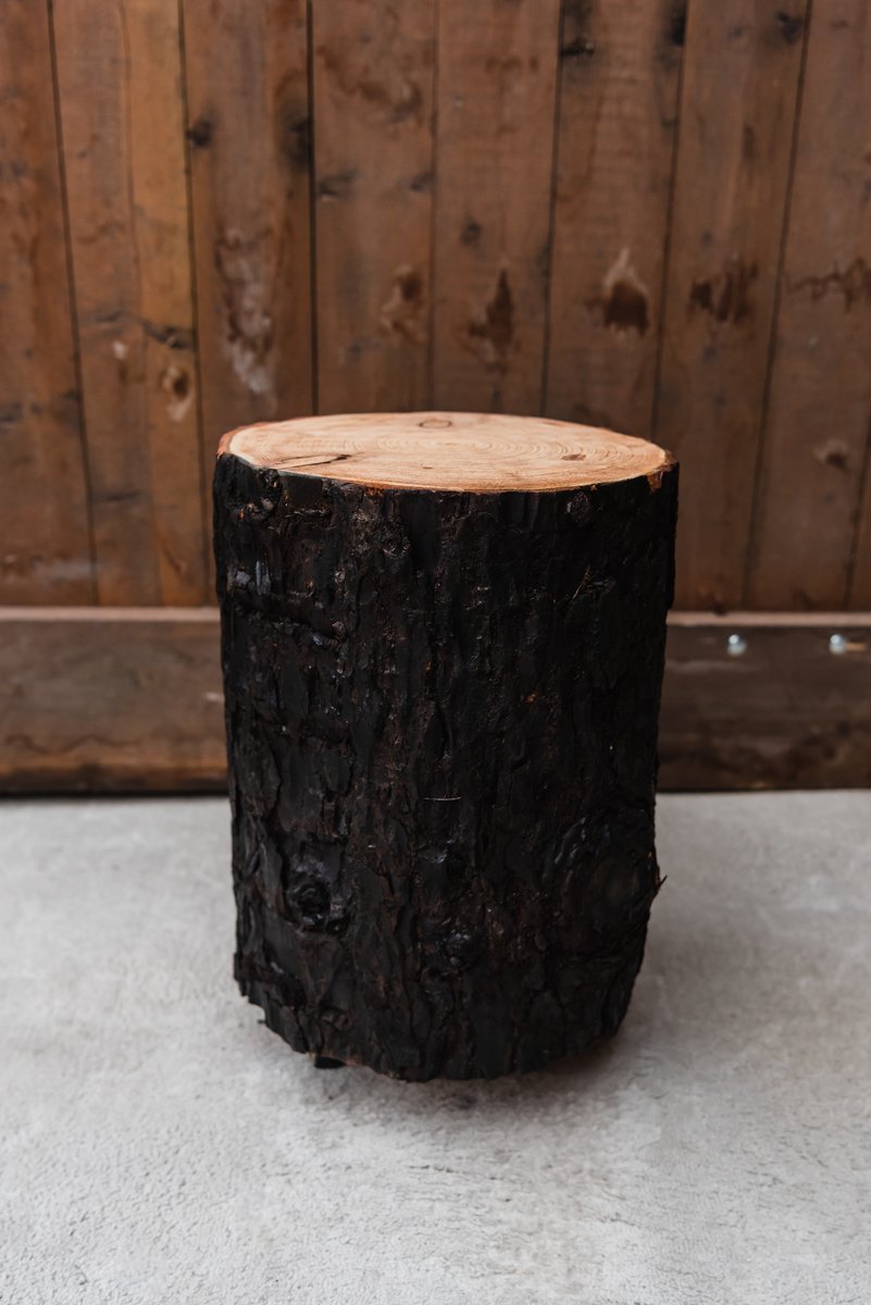 Boomstam tafel 35 cm hoog met schors zwart inclusief zwarte zwenkwieltjes