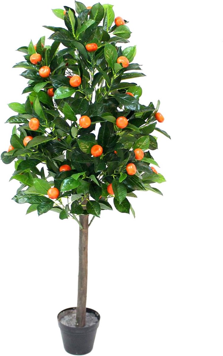 Naturn Living Kunstplant Dwergsinaasappel (Citrus Mitis) – Ø65 x 125 cm – Realistische Nepboom / Kunst Citrusplant voor Binnen – Onderhoudsvrij & Decoratief – Oranje Groen