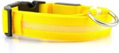 IGOODS LED hondenhalsband - Super Bright Safety Pet Collar - Halsband voor hond met ledlamp - verhoogde zichtbaarheid - Geel