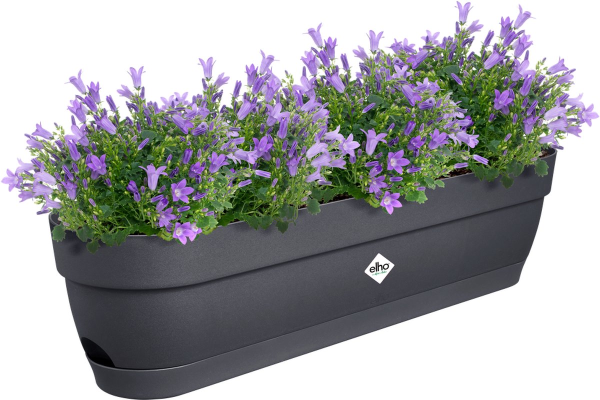 Elho Vibia Campana Balcony Planter 70 - Planter for Balcony
