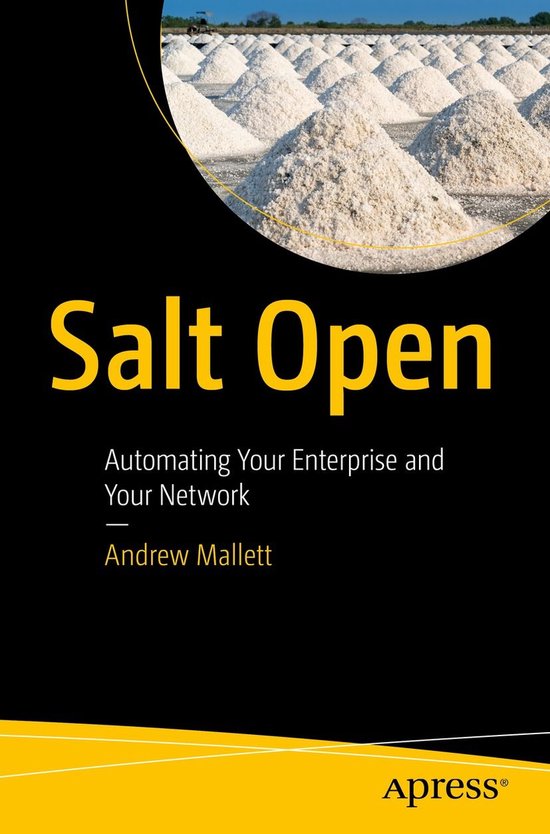 Professional and Applied Computing (R0) - Salt Open - cover