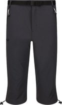 Regatta Xert Stretch Capri - Heren Capri - Seal Grey