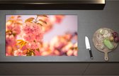 Inductieplaat Beschermer - Bloeiende Roze Bloesem Bloemen op Mooie Lentedag - 90x52 cm - 2 mm Dik - Inductie Beschermer - Bescherming Inductiekookplaat - Kookplaat Beschermer van Zwart Vinyl