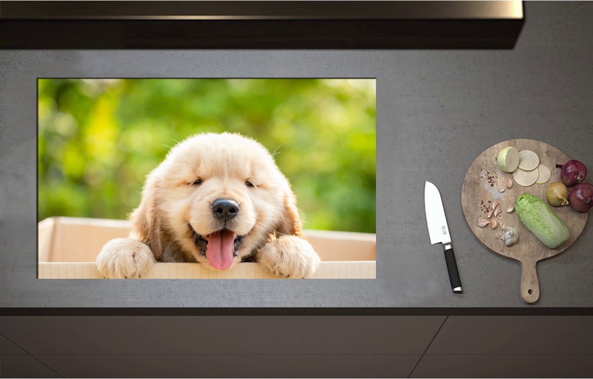 Inductieplaat Beschermer - Blije Golden Retriever Puppy in Kartonnen Doos - 85x51 cm - 2 mm Dik - Inductie Beschermer - Bescherming Inductiekookplaat - Kookplaat Beschermer van Wit Vinyl