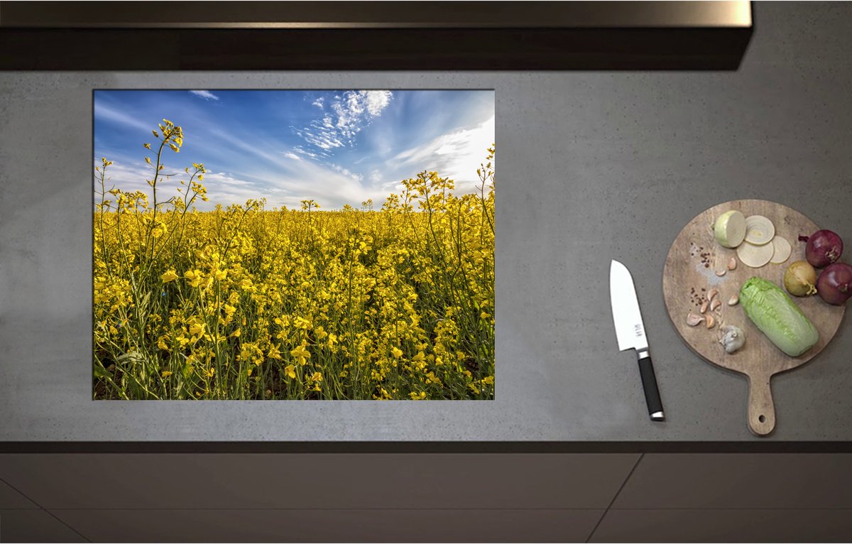 Inductieplaat Beschermer - Bloeiende Gele Bloemen op een Mooie Lentedag - 71x55 cm - 2 mm Dik - Inductie Beschermer - Bescherming Inductiekookplaat - Kookplaat Beschermer van Wit Vinyl