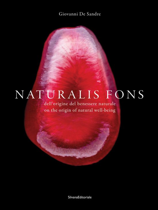 Naturalis Fons: On the Origin of Natural Well-Being - cover