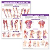 Trigger Point Laminated Chart Set: Torso & Extremities Second edition