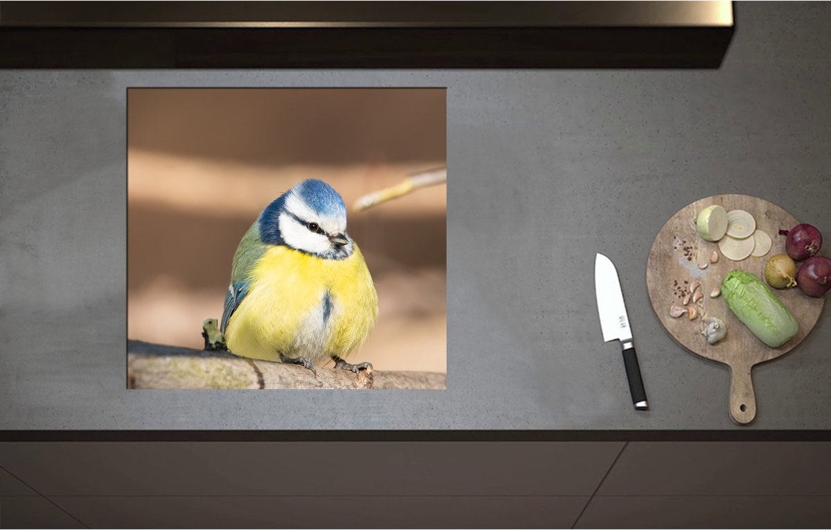 Inductieplaat Beschermer - Bol Pimpelmeesje Zittend op Tak - 58x55 cm - 2 mm Dik - Inductie Beschermer - Bescherming Inductiekookplaat - Kookplaat Beschermer van Wit Vinyl