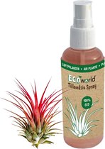 Spray Ecoworld Tilandsia