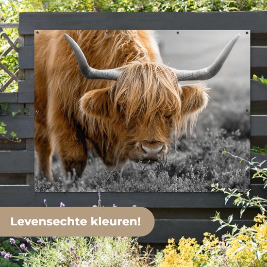 Décoration murale extérieur Highlander écossais - Fleurs - Vache - 160x120 cm