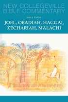 New Collegeville Bible Commentary: Old Testament 17 - Joel, Obadiah, Haggai, Zechariah, Malachi