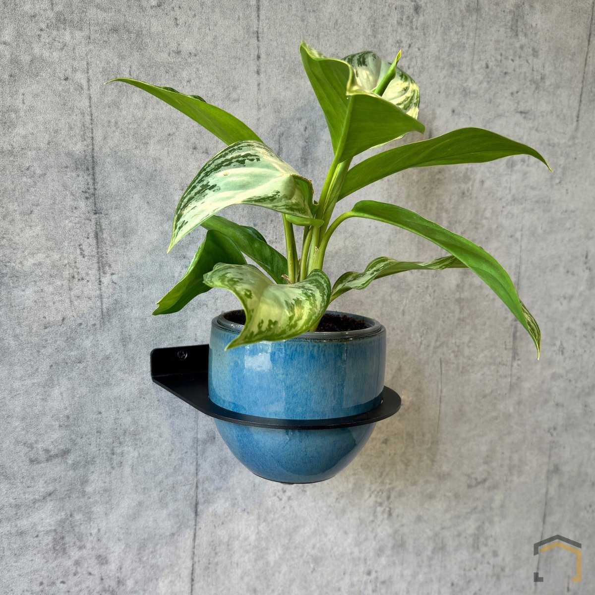 Weterings Store® - Industriële plantenhouder voor aan de muur - Enkel Ø15cm - Staal - Zwart gepoedercoat