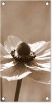 Tuinposter Bloem van anemoon sepia fotoprint - 30x60 cm - Tuindoek - Buitenposter