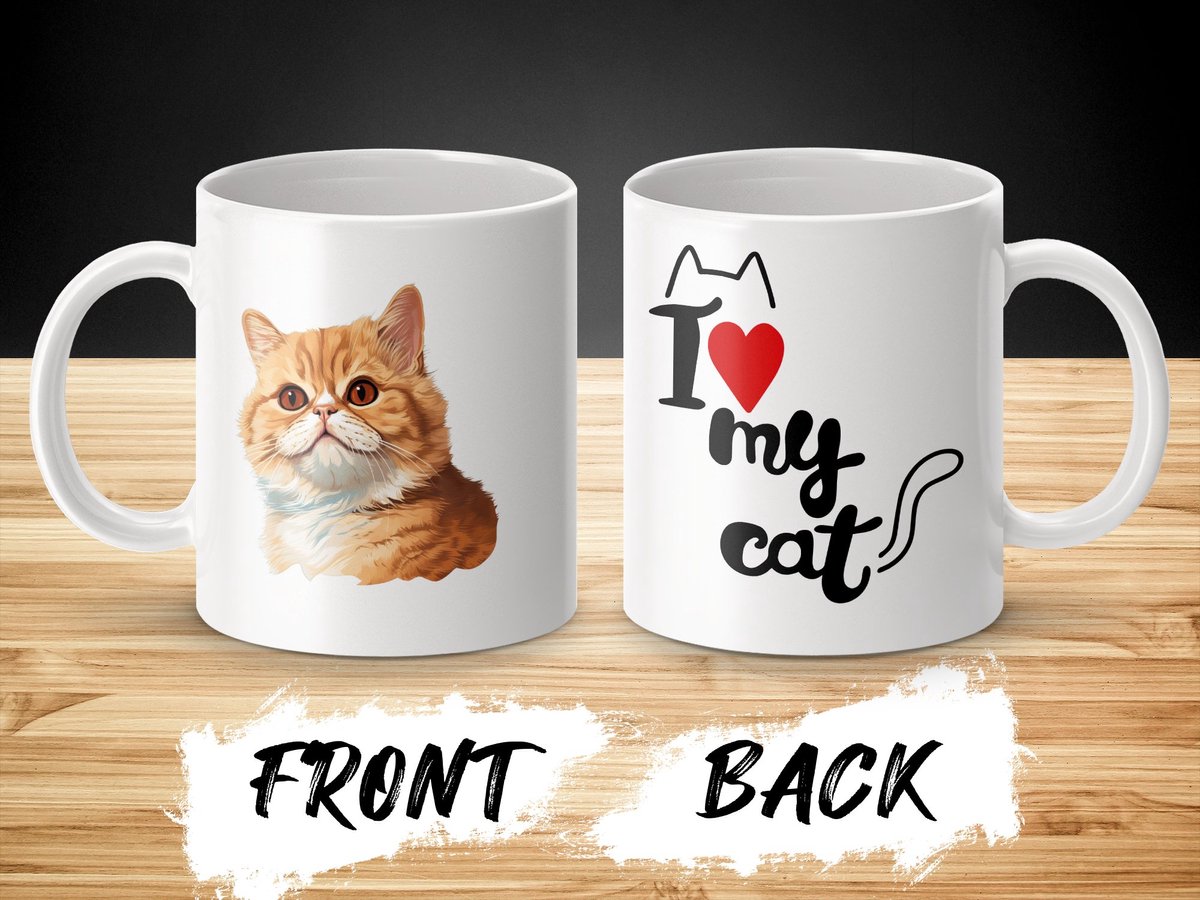 Mok Exotic Shorthair cat - kat - I love my cat - cat lovers - katten