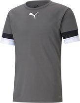 Puma Teamrise Shirt Korte Mouw Heren - Grijs | Maat: XXL