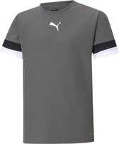 Puma Teamrise Shirt Korte Mouw Kinderen - Grijs | Maat: 116