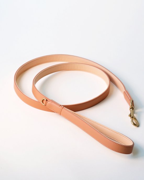 Foto: Wiggled hondenriem vegan leer maat s lengte 1 50 meter breedte 1 5 cm trendy en hip bijpassende halsband mogelijk klein en middelgrote hond oranje kleur