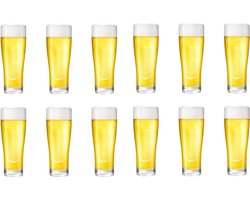 Professionele Bierglazen - (12 stuks) - 250ml - Bierglas - Bier - Glas - 25cl/0.25L - Pils - Glazen set - Hoogwaardige Kwaliteit - Vaasje - Speciaal Bier - Weizen