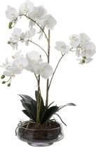 Witte kunstorchidee op pot H73