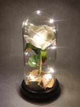 Stralende Roos in Glazen Stolp - LED - Wit - Kerstverlichting - Kerstdecoratie voor binnen - Kerst Cadeau - Kunstbloemen - Kerstdecoratie voor binnen - Nepbloemen - Decoratie - Versiering - V