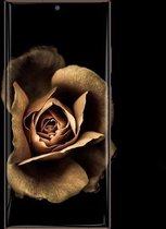 Voor Samsung Galaxy Note20 Ultra Benks RR-serie 0,15 mm flexibele gebogen hydrogelfilm