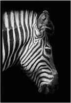 Eenvoudige zwart-wit dier decoratie schilderij studie woonkamer bank achtergrond muurschildering zonder frame, afmeting: 30x40cm (zebra hoofd)