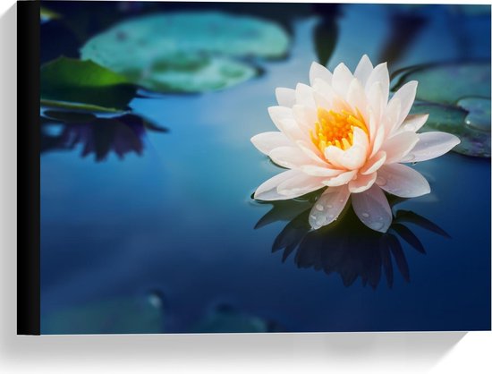 Canvas  - Bloeiende Lotus Bloem - 40x30cm Foto op Canvas Schilderij (Wanddecoratie op Canvas)