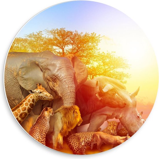 Forex Wandcirkel - Verzameling Afrikaanse Dieren - 50x50cm Foto op Wandcirkel (met ophangsysteem)