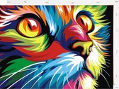 Schilderen op Nummer Kat Abstract 40x50 met Frame Volwassenen & Kinderen - Kleuren op Nummer - Paint by Number - Hobbypainting.nl®