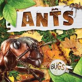 Bugs- Ants