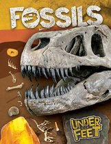 Under Our Feet- Fossils