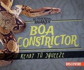 Boa Constrictor