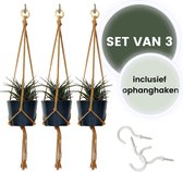 Bamboez - Macramé plantenhanger - ↕ 63 cm - Ø tot 10cm - Set van 3 stuks - 100% Katoen - Inclusief  witte schroefhaken - Bruin - Handgemaakt in Nederland