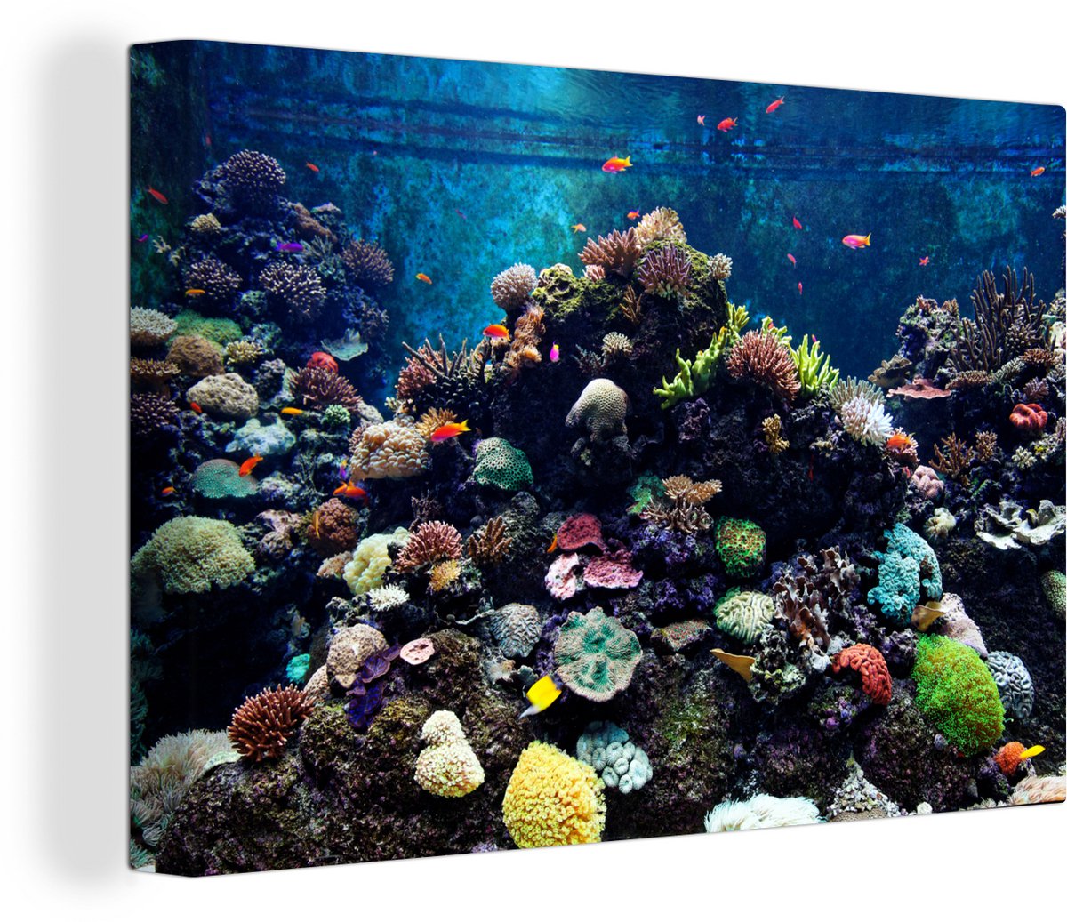 Canvas Schilderij Aquarium met tropische vissen en koralen - 30x20 cm - Wanddecoratie