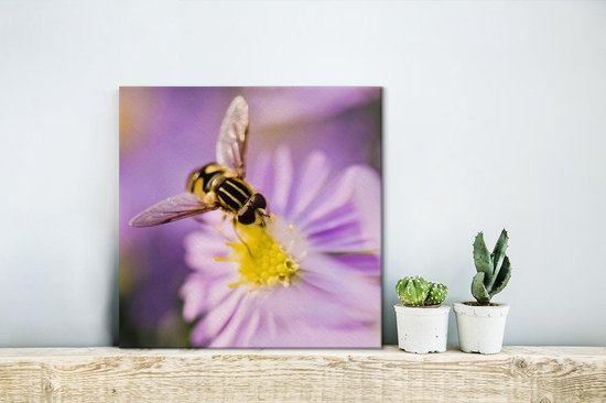 Een bij zit op een aster bloem Canvas 20x20 cm - klein - Foto print op Canvas schilderij (Wanddecoratie woonkamer / slaapkamer)