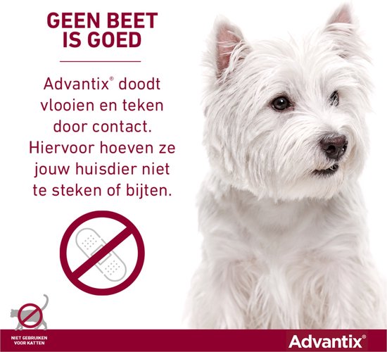 Bayer Advantix Vlooien & Teken Pipetten - Hond 4 tot 10 kg - 4 stuks - Advantix