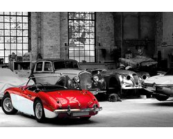 Tuinposter - Auto - Oldtimer  - 160 x 240 cm.