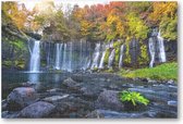 Shiraito waterval in de herfst, Japan - 252 Stukjes puzzel voor volwassenen -
