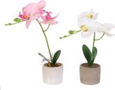 Kunstplant - Orchidee - 2 stuks - 25cm - hd4134