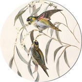 Muurcirkel Vogels No3 - buiten en binnen- tuindecoratie - Ø 50 cm