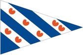 Stijlvolle Provincievlag Friesland Puntvlag Bootvlag 30x45 - Talamex