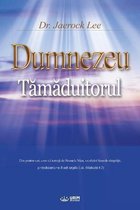 Dumnezeu Tămăduitorul: God the Healer (Romanian)