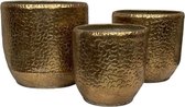 Bia Blush - Dhaka - Goud/Gold - 3-delige set