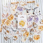 stickers Katten decoratie washi 45 stuks