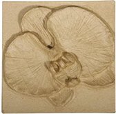 RAYHER 71634000 Orchid Relief Picture Papier-maché 20 x 20 x 3,5 cm