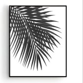 Poster Palmboom blad Links Zwart / Wit - Tropisch Blad - Planten Poster - Muurdecoratie - 70x50cm - PosterCity