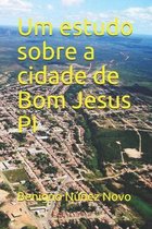 Um estudo sobre a cidade de Bom Jesus PI
