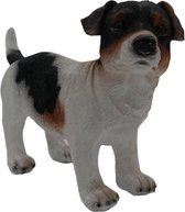 Beeld Jack Russell Teriër wit / zwart / bruin - decoratief beeld - beeld hond