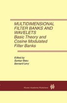Multidimensional Filter Banks and Wavelets